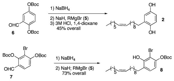 Scheme 2