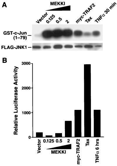 FIG. 7