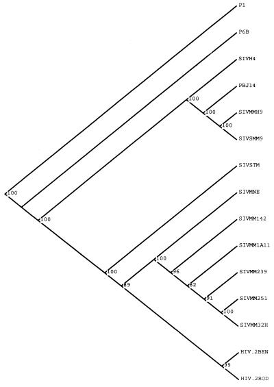 FIG. 1