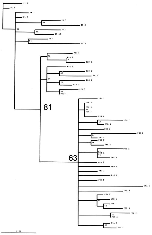 FIG. 9
