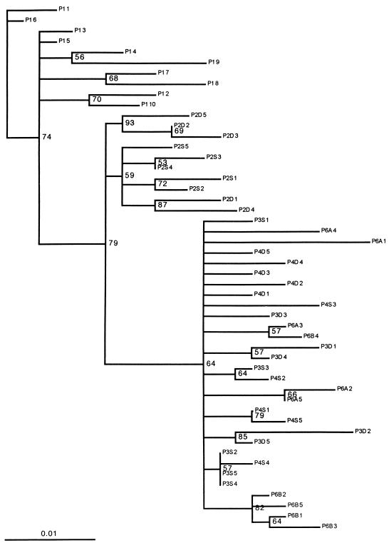 FIG. 6