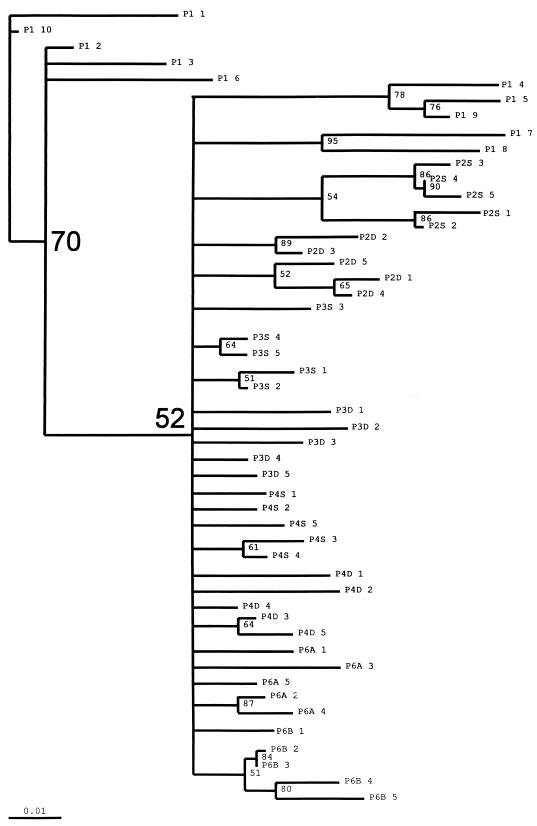 FIG. 8