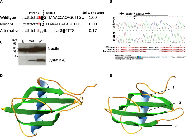 Figure 2