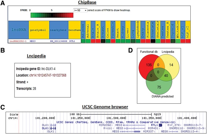 FIGURE 4.