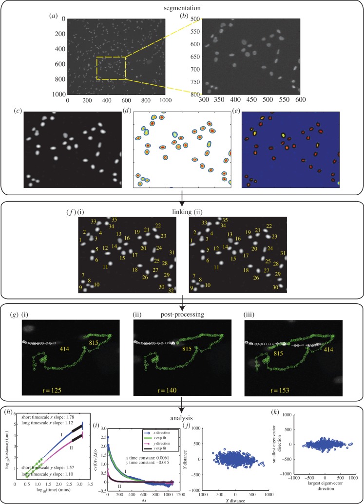 Figure 1.