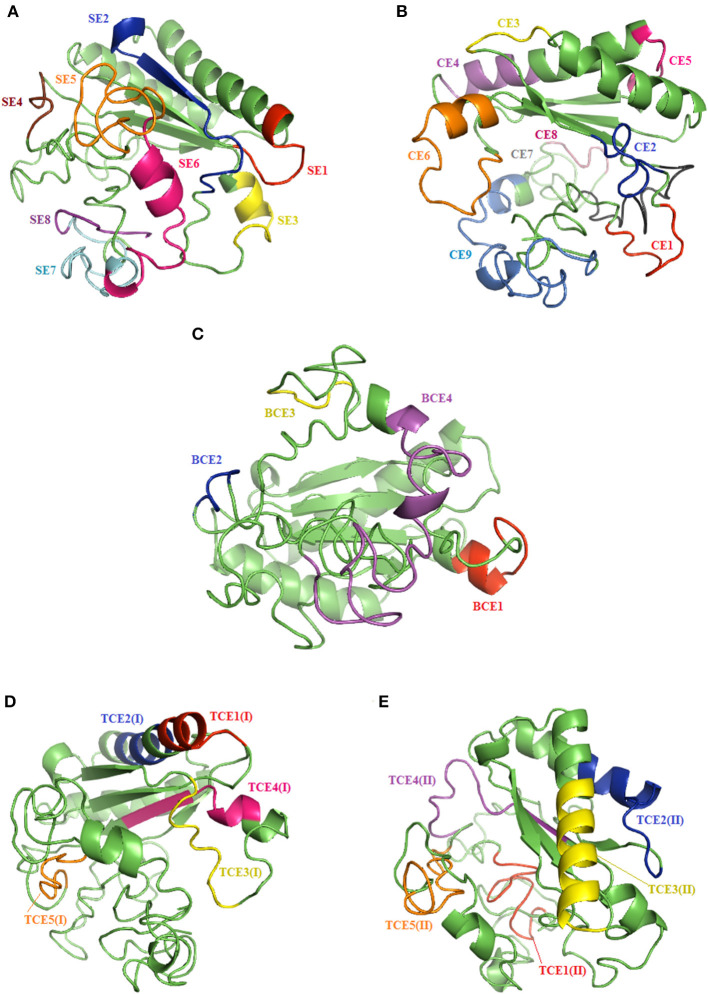 Figure 5