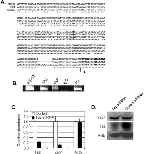 Figure 3.