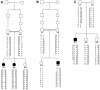 Figure  2