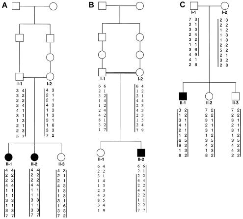 Figure  2