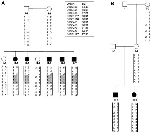 Figure  1