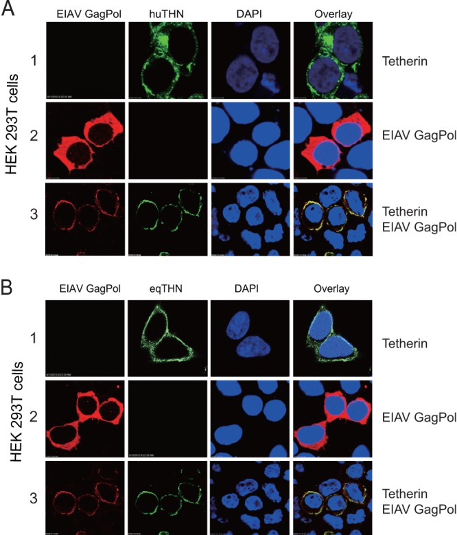 FIG 4