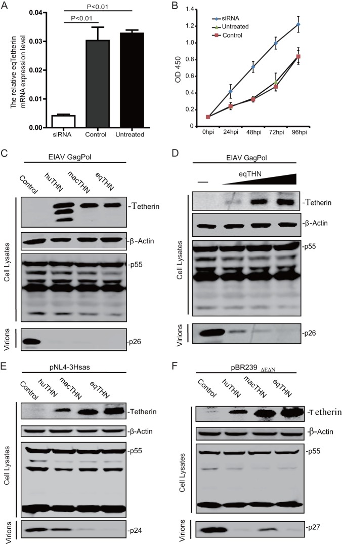 FIG 3