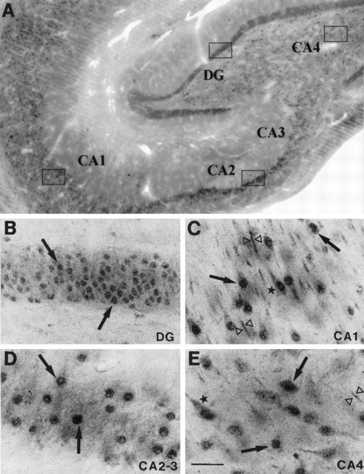 Fig. 9.