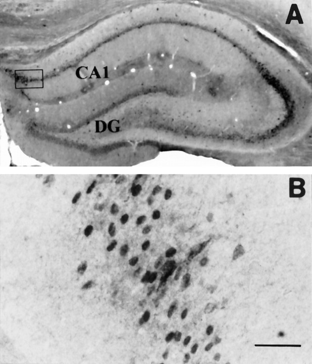 Fig. 10.