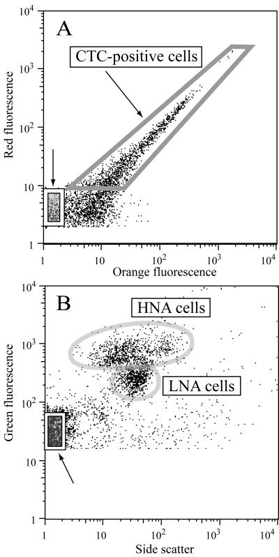 FIG. 2.