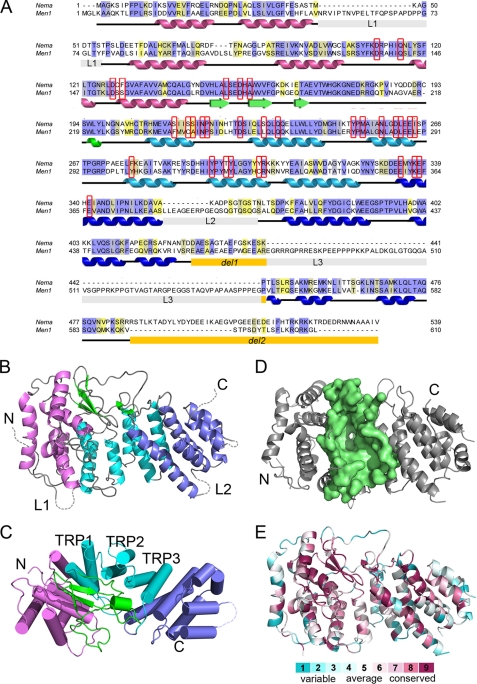 FIGURE 1.