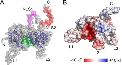 FIGURE 2.