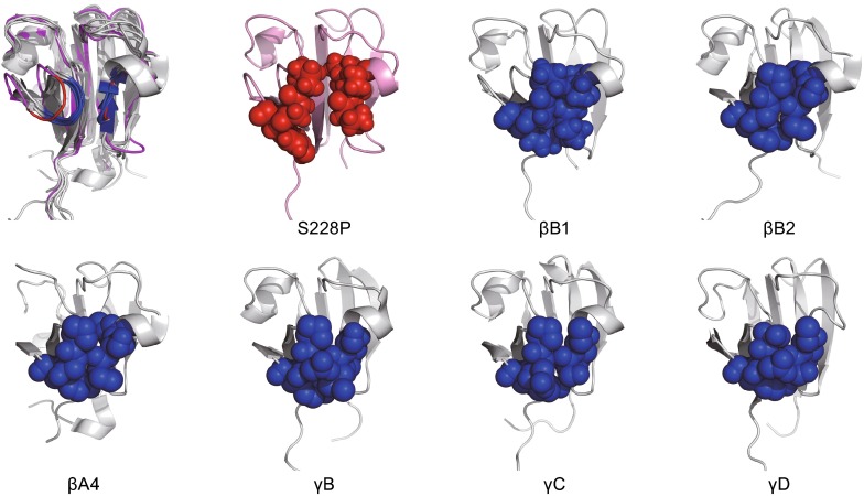 Figure 7