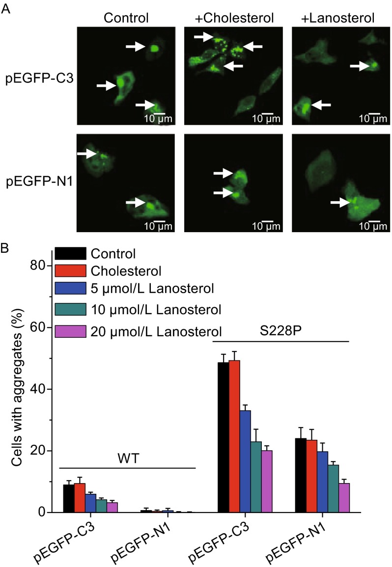 Figure 2