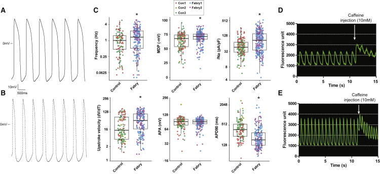 Figure 2