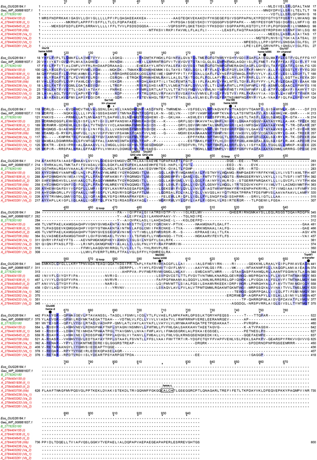 Extended Data Fig. 8 |