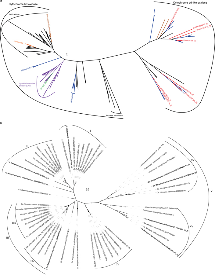 Extended Data Fig. 7 |