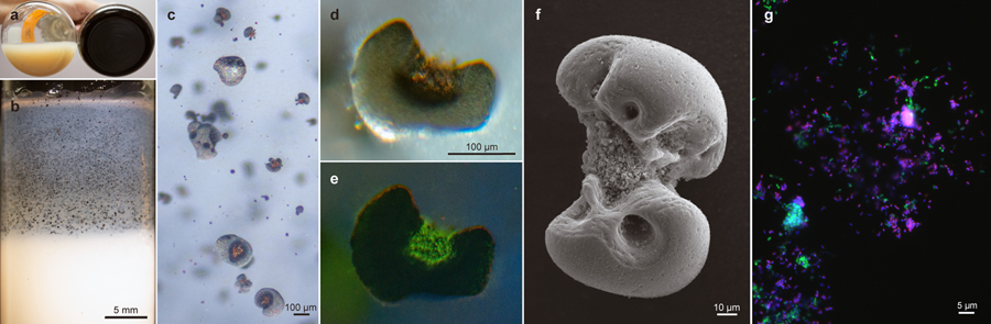 Figure 1 |