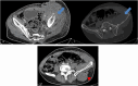 Fig 4: