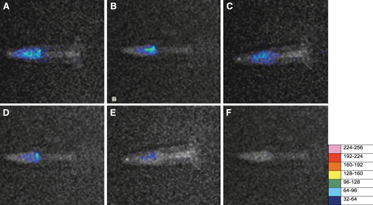 FIG. 2.