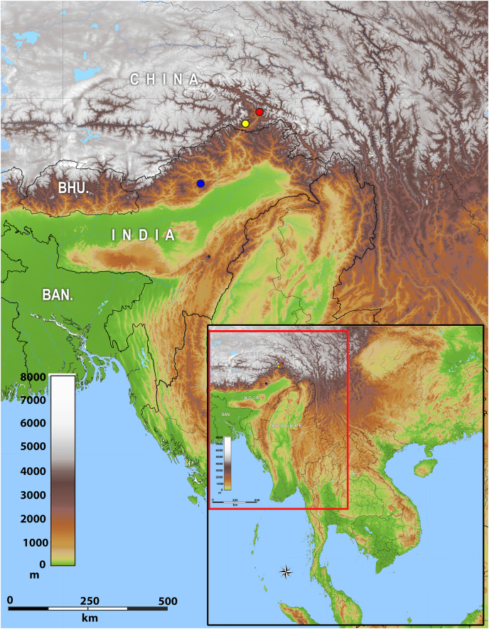 Figure 2