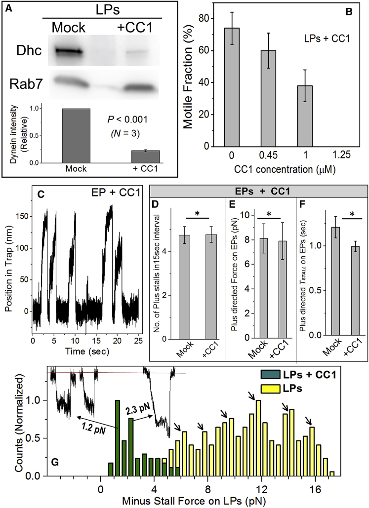 Figure 3