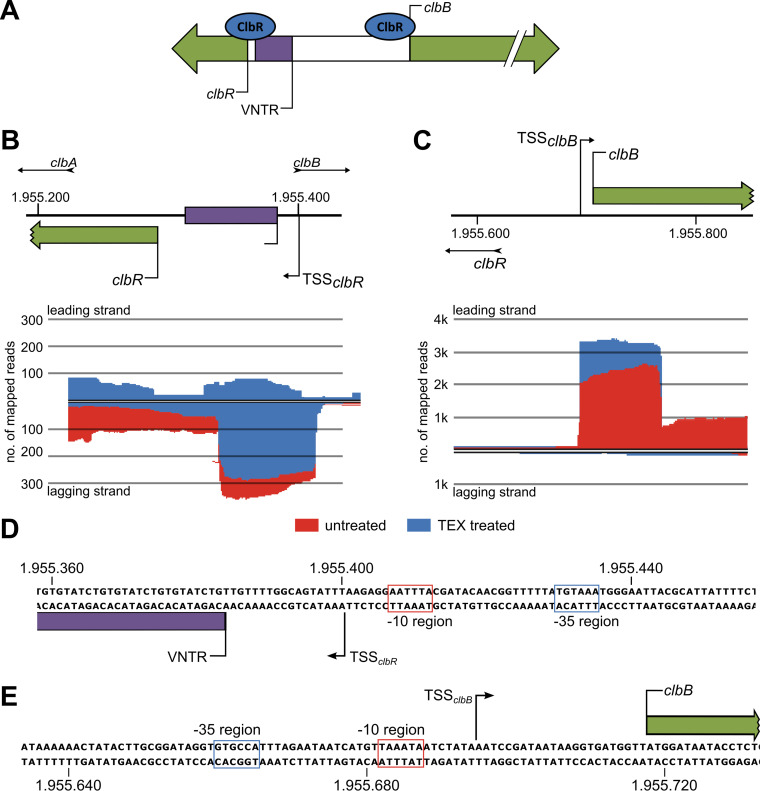 FIG 6