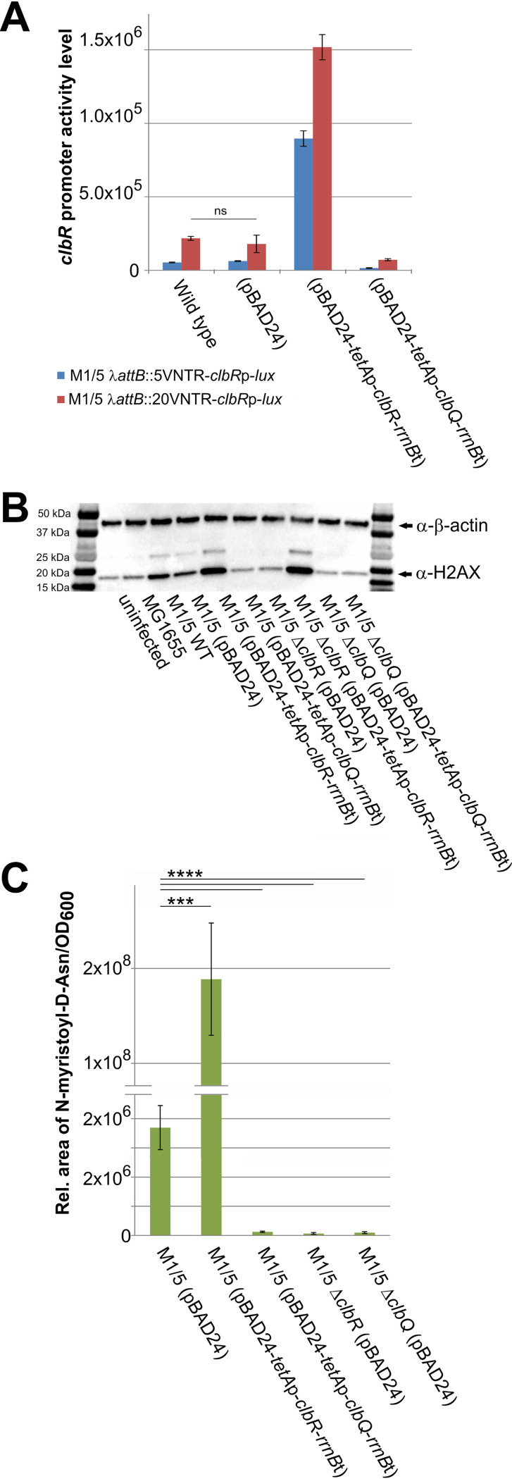 FIG 8