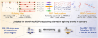 Graphical Abstract