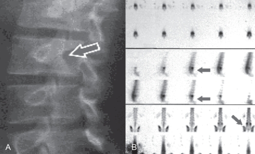 Figure 1)