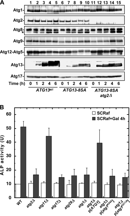 FIG. 7.