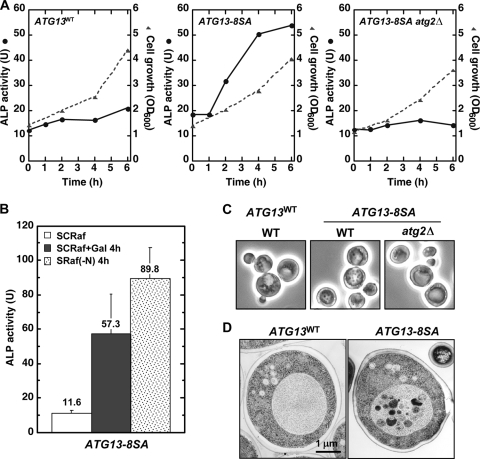 FIG. 4.