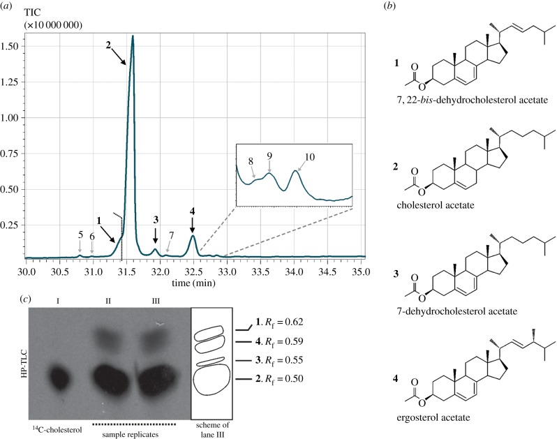 Figure 4.