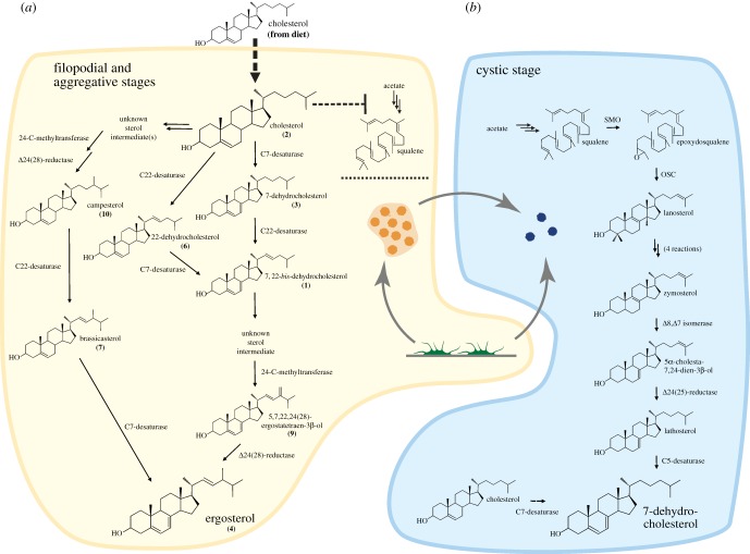 Figure 6.