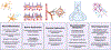 Fig. 1 –