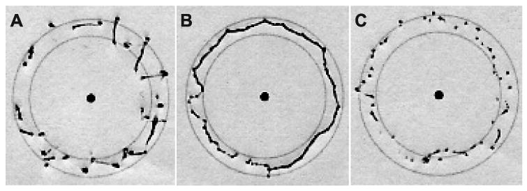 Fig. 14