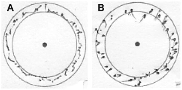 Fig. 19