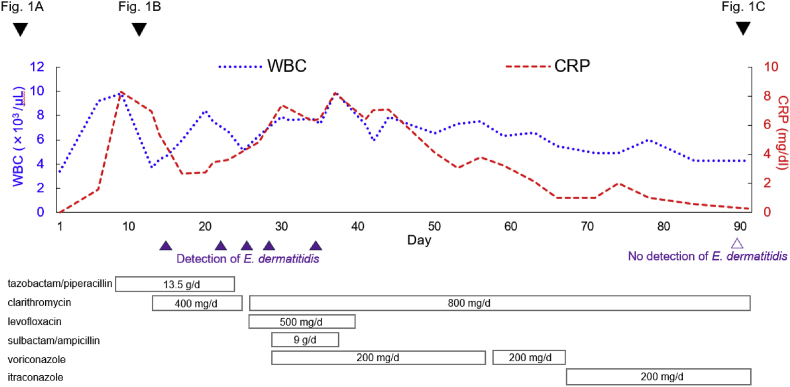 Fig. 3