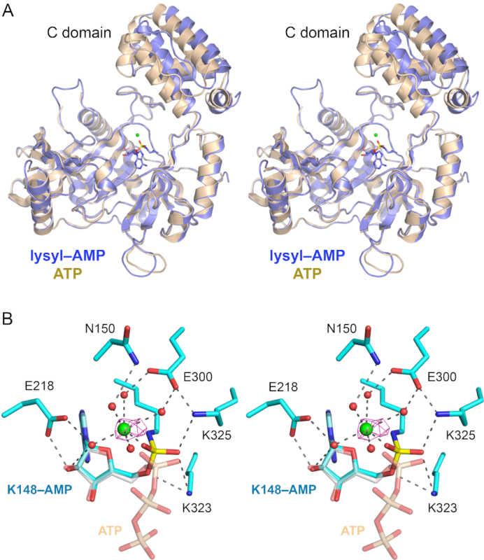 Figure 5.