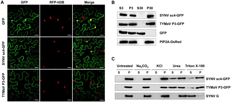 FIG 3