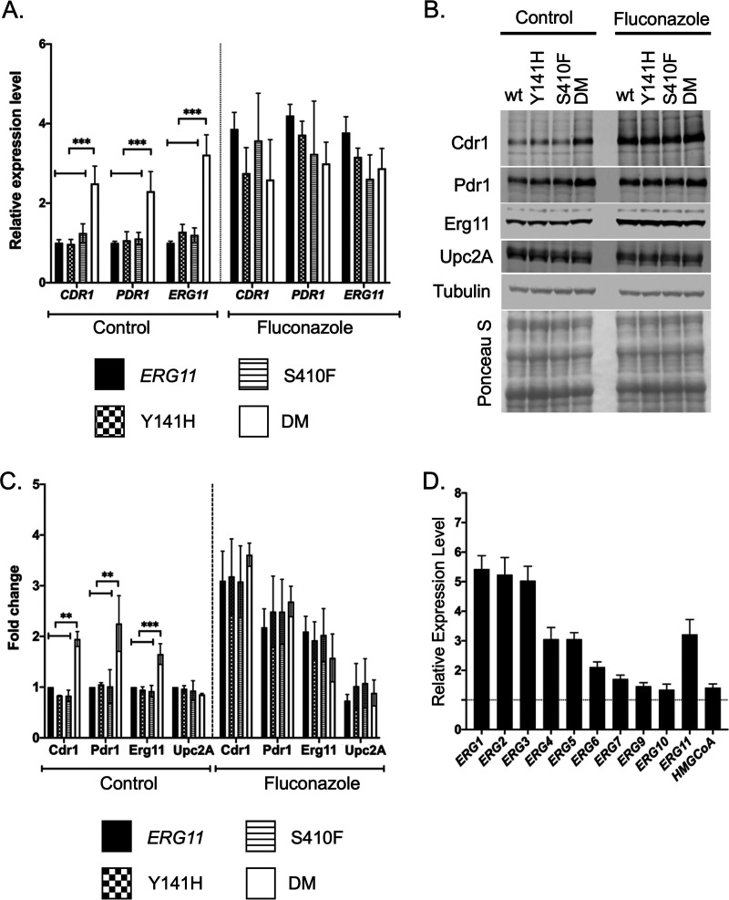 FIG 3