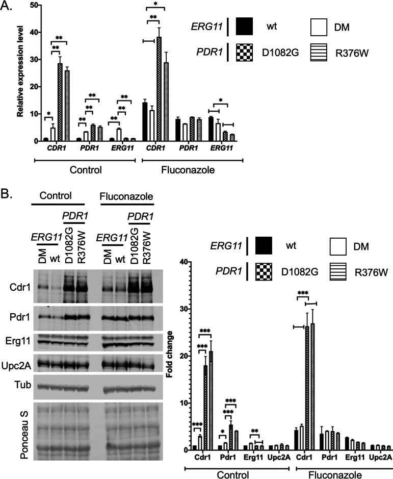 FIG 6