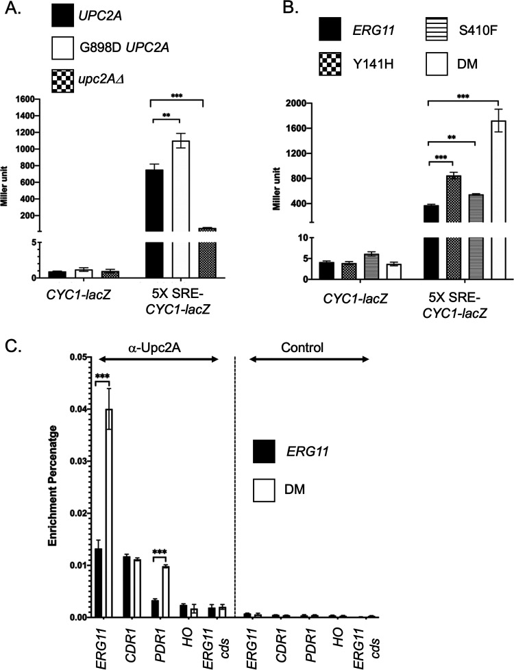 FIG 4