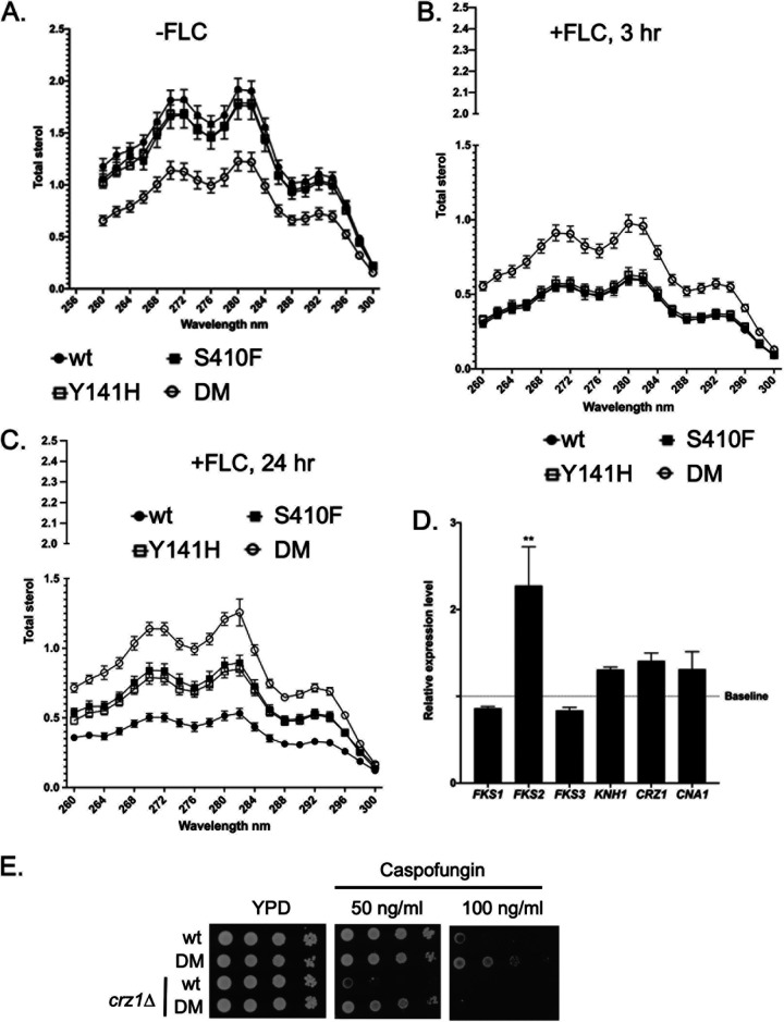 FIG 2