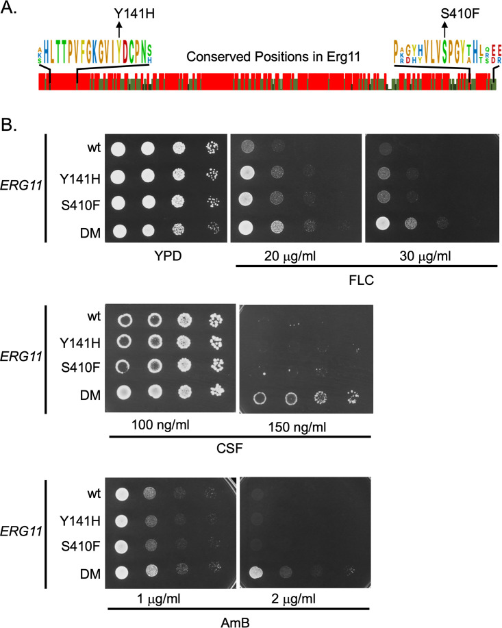 FIG 1